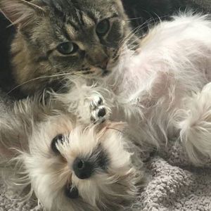 Meet your Posher, Sandra